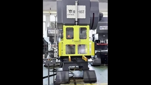 HHC-85T C-Frame Press (with Pneumatic Safety Door, Light Curtain & Die Arm)